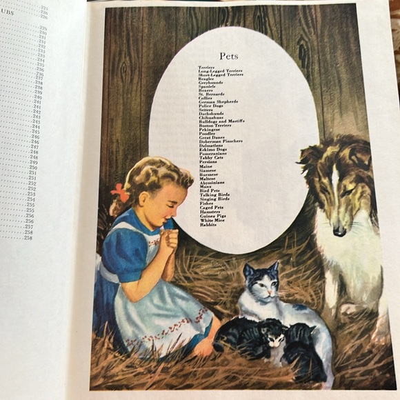 Vintage The Wonders of Nature Hardcover Book 1974 Coffee Table Book oversized - Picture 3 of 16